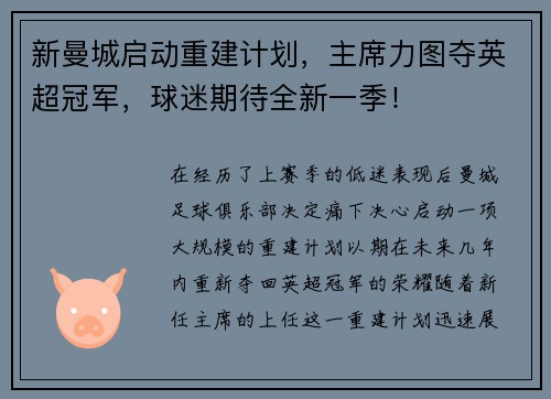 新曼城启动重建计划，主席力图夺英超冠军，球迷期待全新一季！